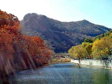 澳门今晚一肖必中特，大田梅园山庄